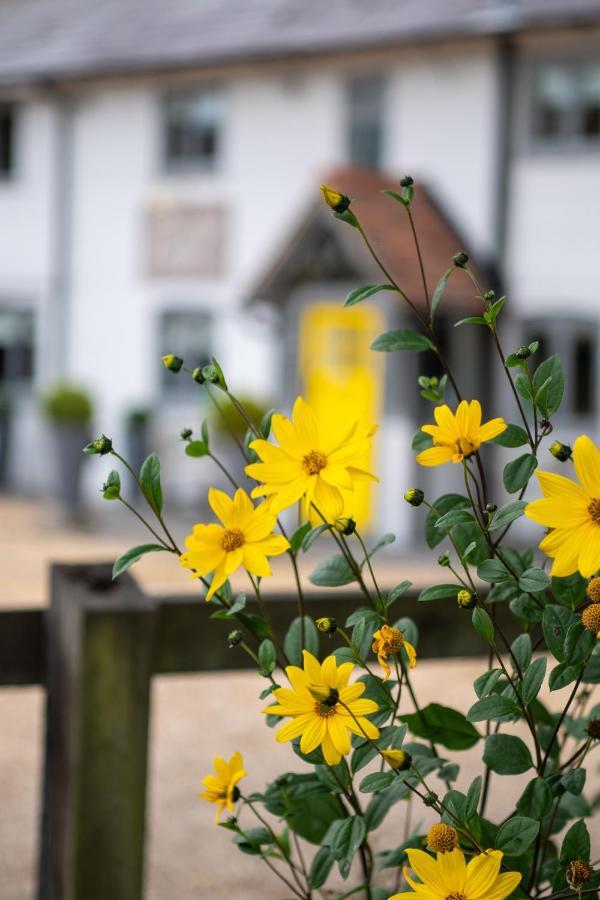 Cottage Lodge Hotel Brockenhurst Bagian luar foto